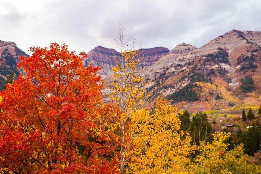 Log Cabin On The Stream Sundance, Utah Bagian luar foto